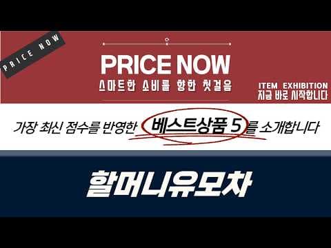 할머니 유모차? 튼튼한 실버카 보행 보조기 비교 (육아용품)