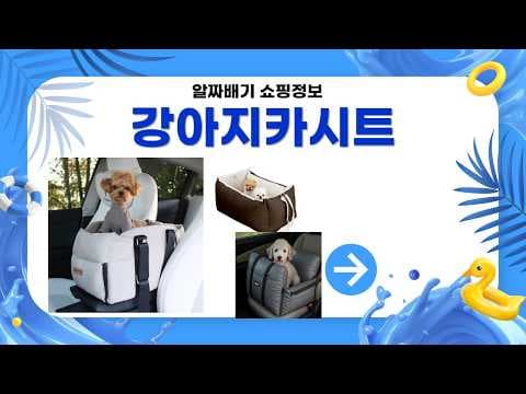 강아지 카시트 추천 BEST 5! 안전 드라이브 육아용품 비교