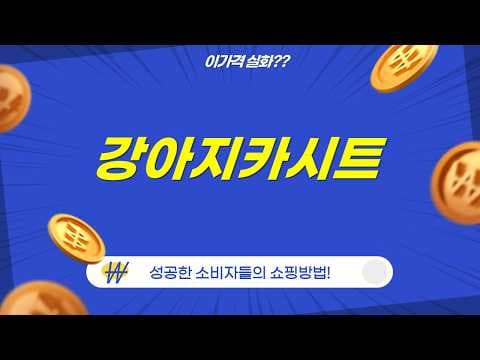 강아지 육아용품 카시트 추천! 초코펫, 리토, 레토 비교