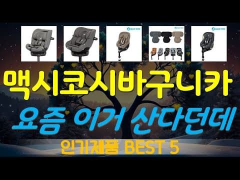 육아용품 가성비 바구니 카시트 추천 TOP 5 신생아 카시트