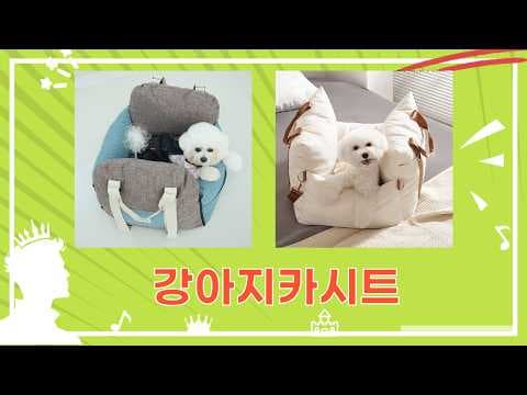 강아지 카시트 추천: 안전 드라이브 위한 육아용품 비교