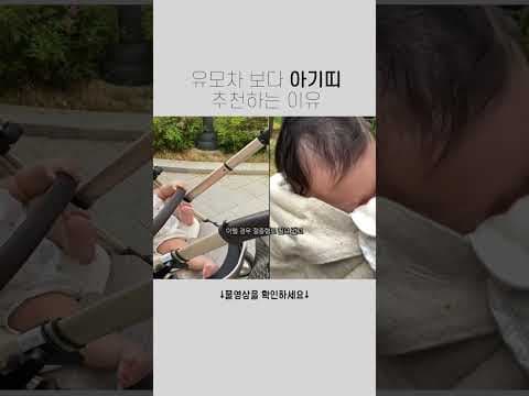 6개월 이전 육아용품 아기띠 유모차 비교, 후회 없는 선택 가이드