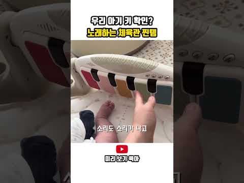 키재기 아기 체육관 써보니 대만족! 육아용품 추천