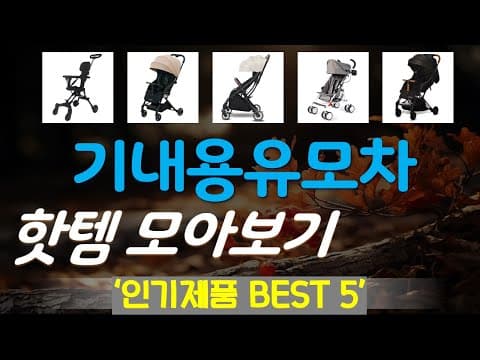 가성비 기내용 유모차 추천 TOP5! 육아용품 비교분석