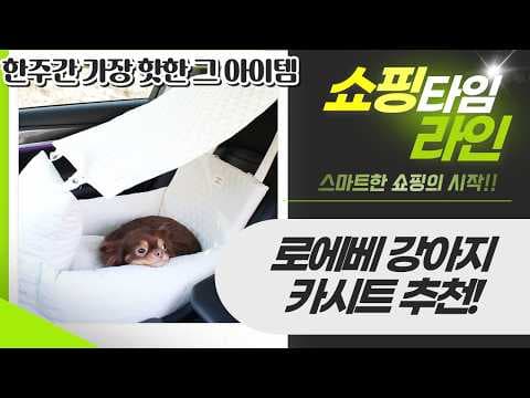 강아지 카시트 추천! 안전 드라이브 위한 반려견 육아용품 비교