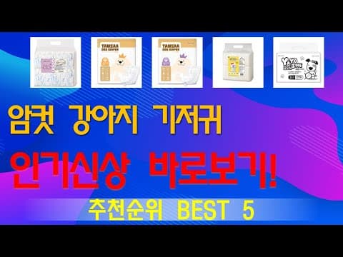 암컷 강아지 기저귀 추천 TOP5! 맘들이 선택한 육아용품