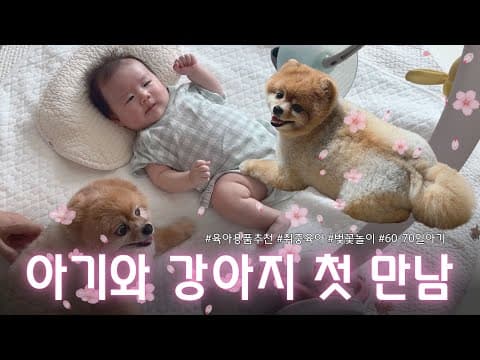 육아용품 챙기고 떠난 성수동 맛집! 부부 외식으로 즐긴 자유부인 힐링