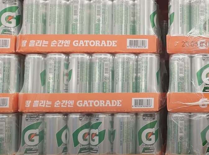 게토레이 레몬 240ML X 30캔