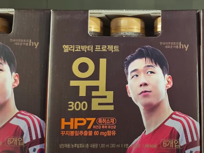 HY 에치와이 헬리코박터프로젝트 윌 300ML X 6