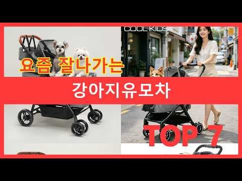 반려동물 유모차 육아용품 추천 대형견 퀵폴딩 가성비까지 직접 써보니 대만족