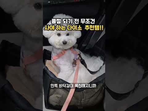다이소 강아지 카시트 쿠션 조합 육아용품 써보니 대만족