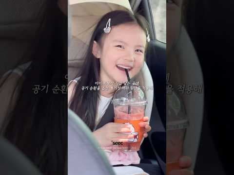 시크 주니어 카시트, 여행 준비 필수 육아용품 휴대용 카시트 추천