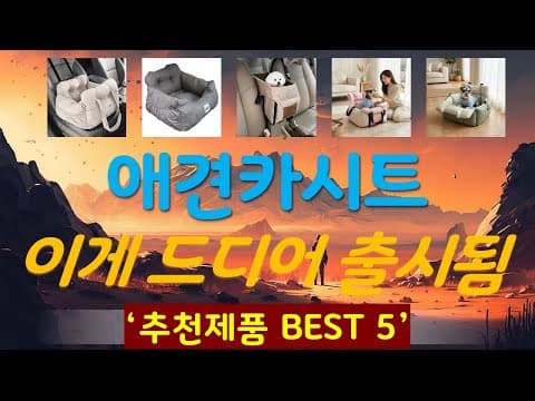 강아지 안전을 위한 가성비 애견 카시트 추천 TOP5